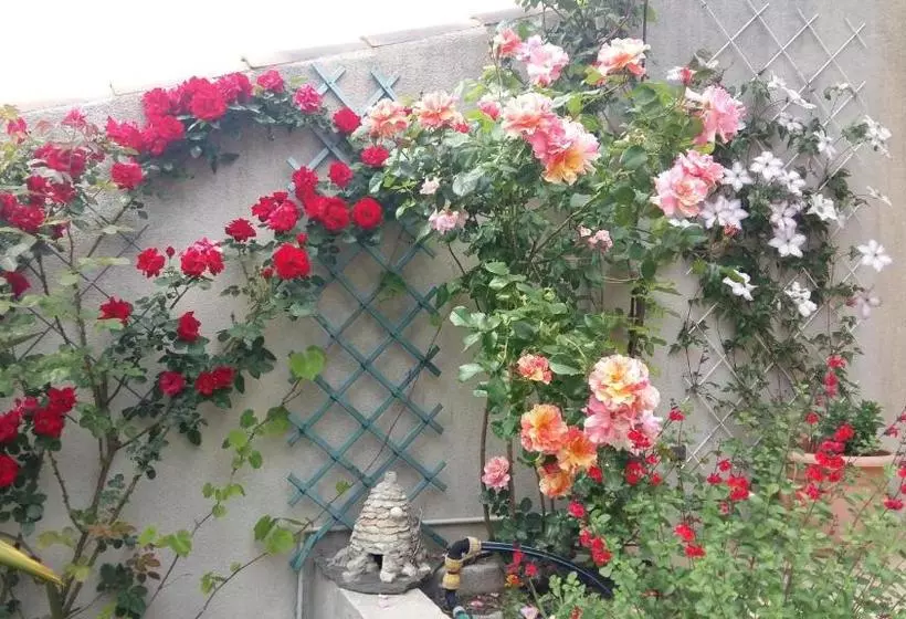تختخواب و صبحانه Au Bon Penequet