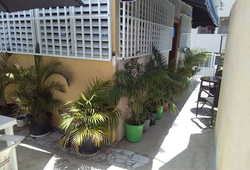 تختخواب و صبحانه Casa De Huespedes Guadalupe