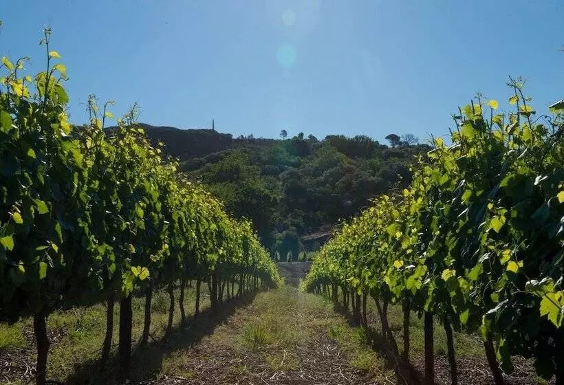 هتل Laborie Estate