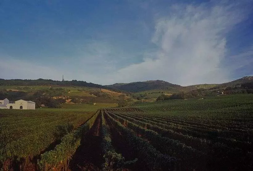 هتل Laborie Estate