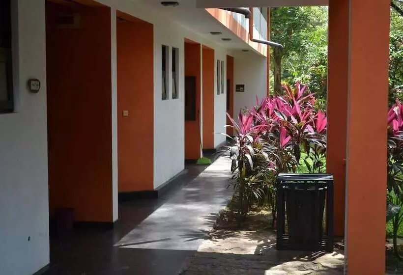 هتل Wood Side Tour Inn