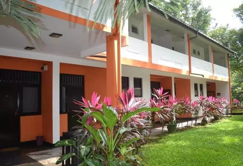 هتل Wood Side Tour Inn