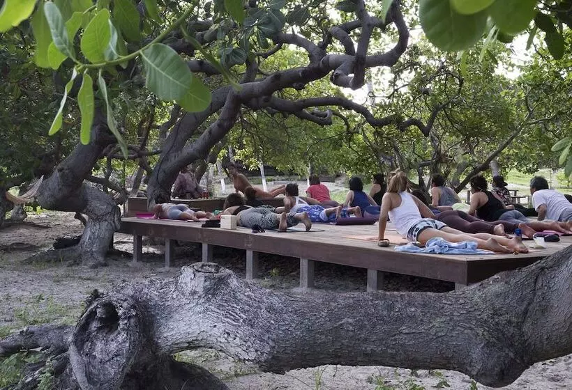 ベッドアンドブレックファースト Convento Arcádia