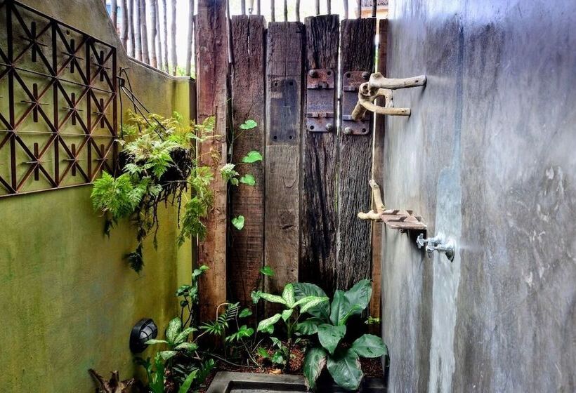 Bed & Breakfast Convento Arcádia