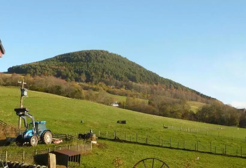 Drumbuie Farm B&b