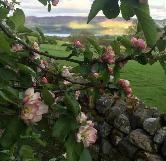 Drumbuie Farm B&b