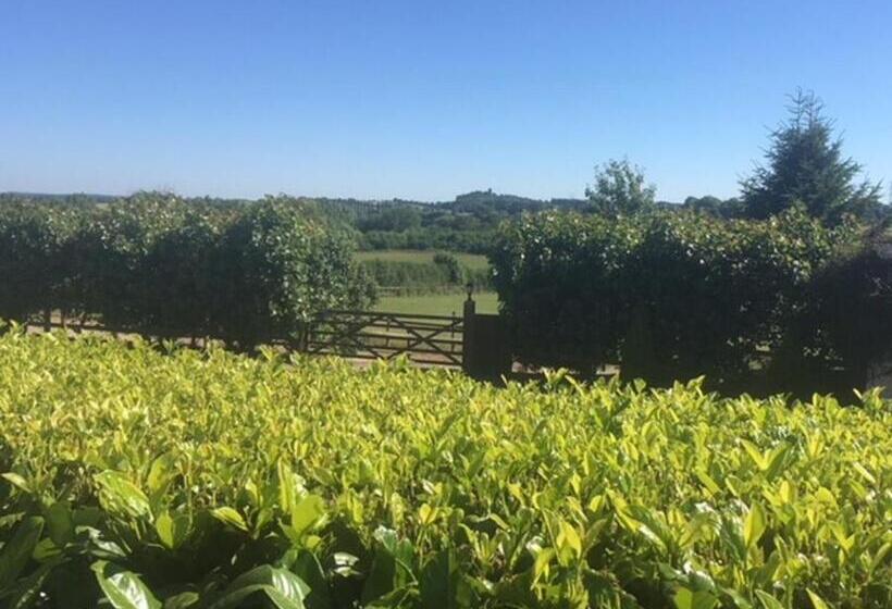 호텔 Melbourne View