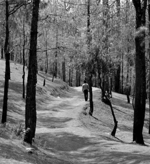Lomakeskus Xomotel Ranikhet Heights