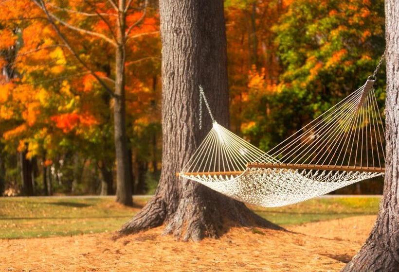 住宿加早餐  The Inn At Manchester