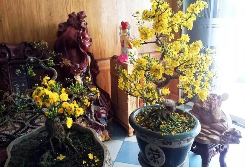 Cao Nguyen Hotel   Gia Lai