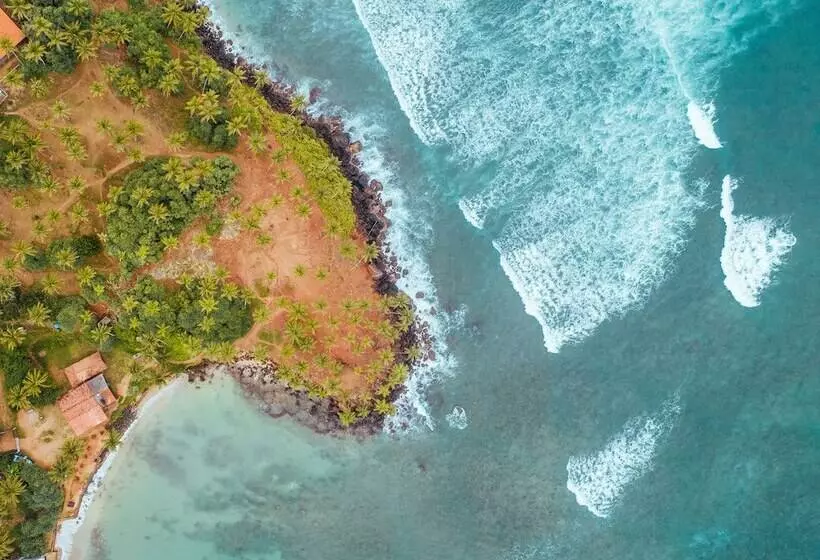 Hotelli Triple O Six