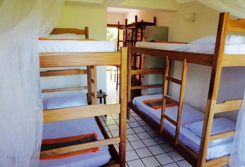Novos Baianos Hostel E Pousada