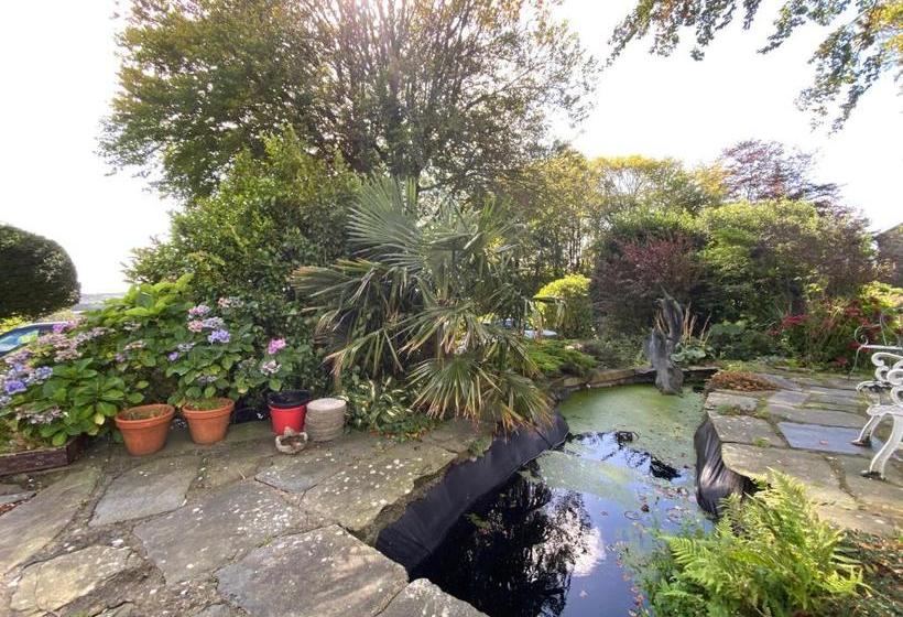 Bed and Breakfast St Mary S Mount