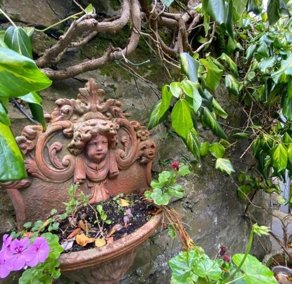 Bed and Breakfast St Mary S Mount