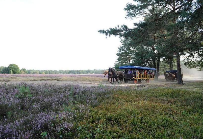 Eurostrand Resort Lüneburger Heide