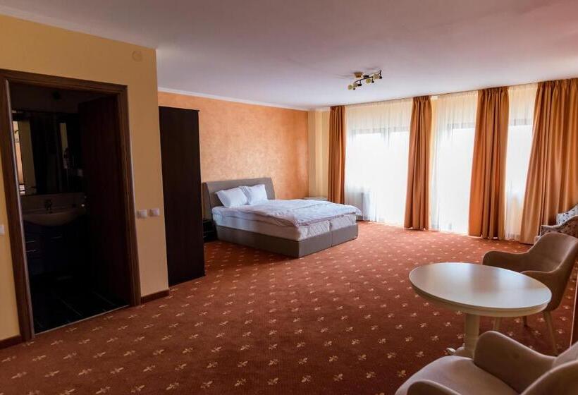 هتل Monte Carlo Reghin