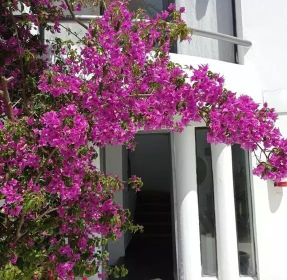 Hotelli Posada De Los Pajaros