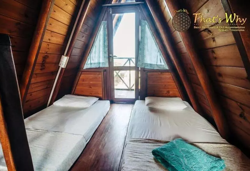 Hotelli That's Why Beach Cabanas Nilaveli