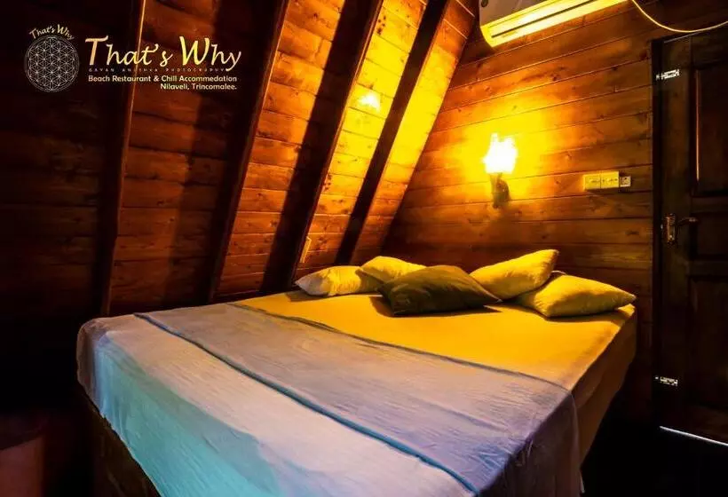Hotelli That's Why Beach Cabanas Nilaveli