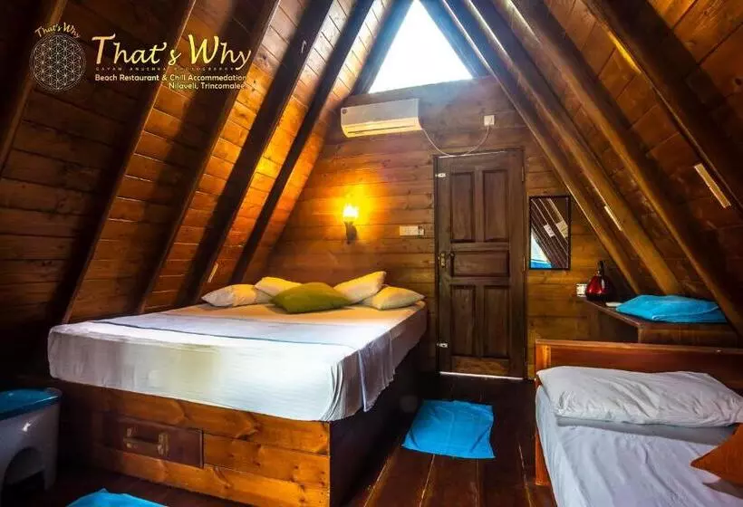 Hotelli That's Why Beach Cabanas Nilaveli