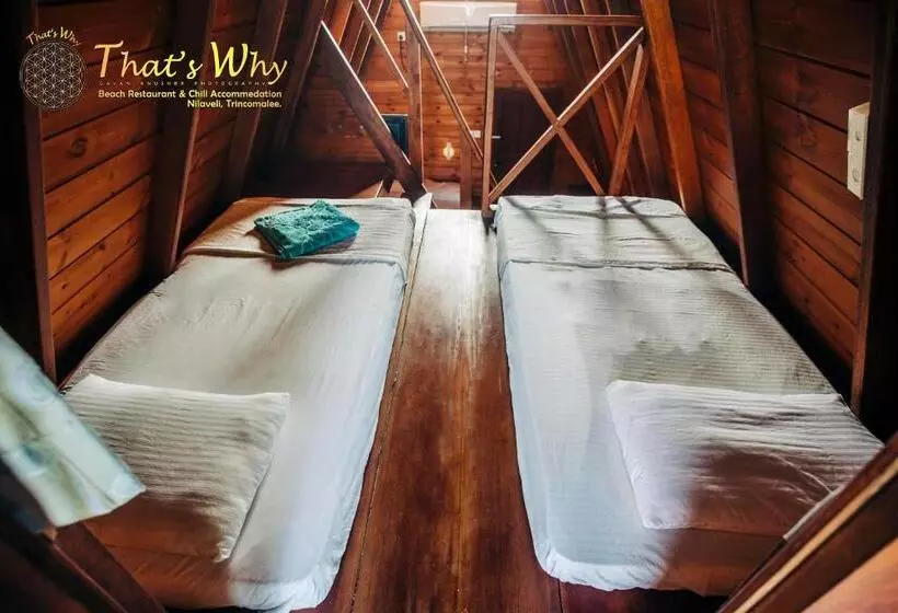 Hotelli That's Why Beach Cabanas Nilaveli