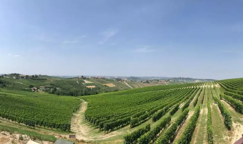 リゾートホテル Agriturismo La Casa In Collina