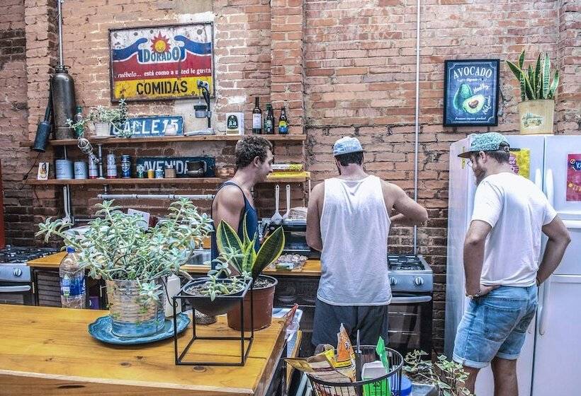 فندق صغير Selina San Jose