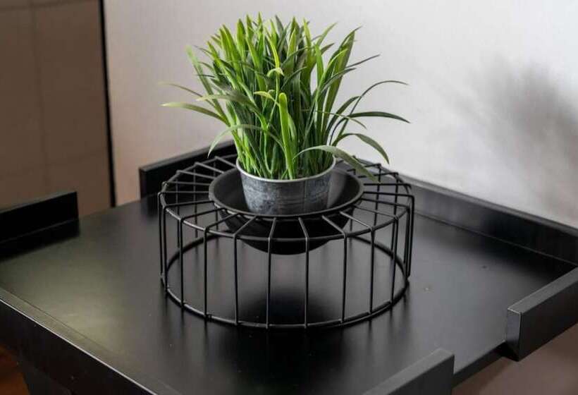 فندق صغير Selina San Jose