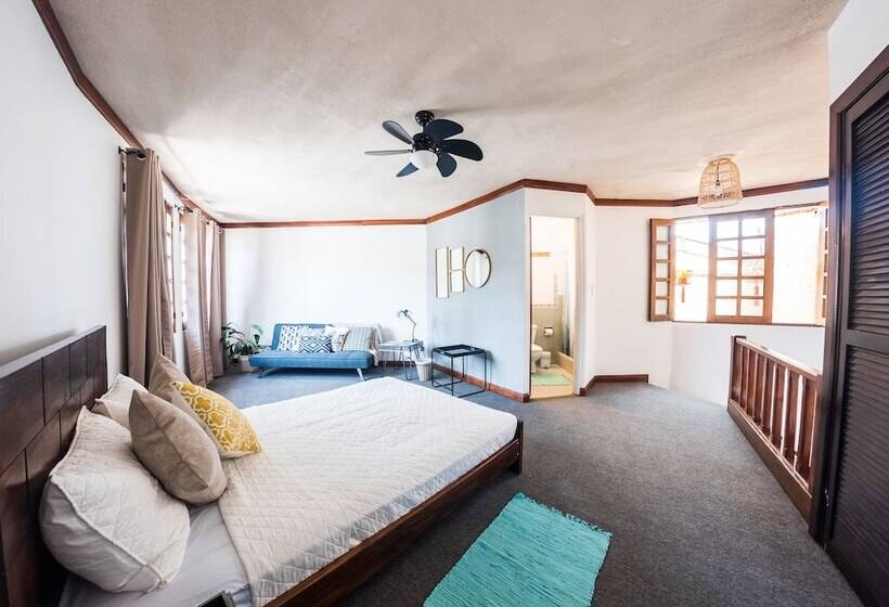 فندق صغير Selina San Jose