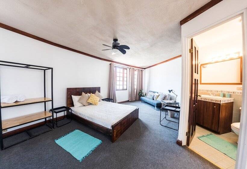 فندق صغير Selina San Jose