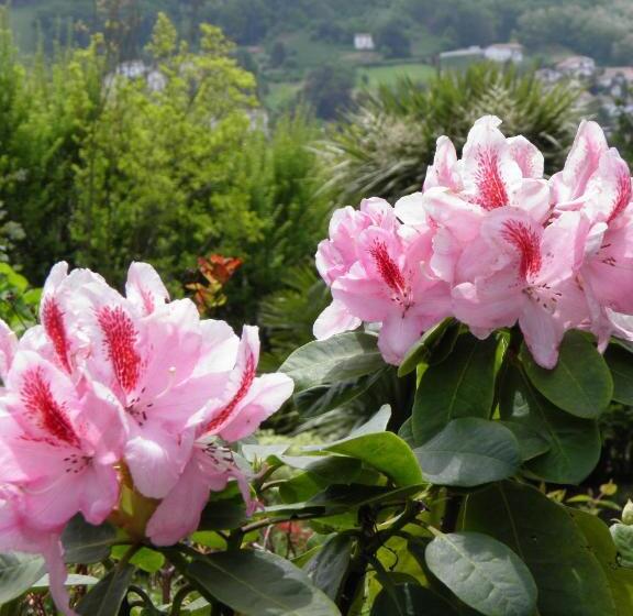 Bed and Breakfast Chambres D Hôtes Haitz Ondo