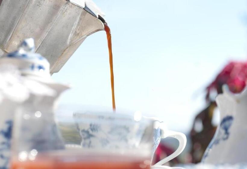 住宿加早餐  Villa Pieve De  Pitti