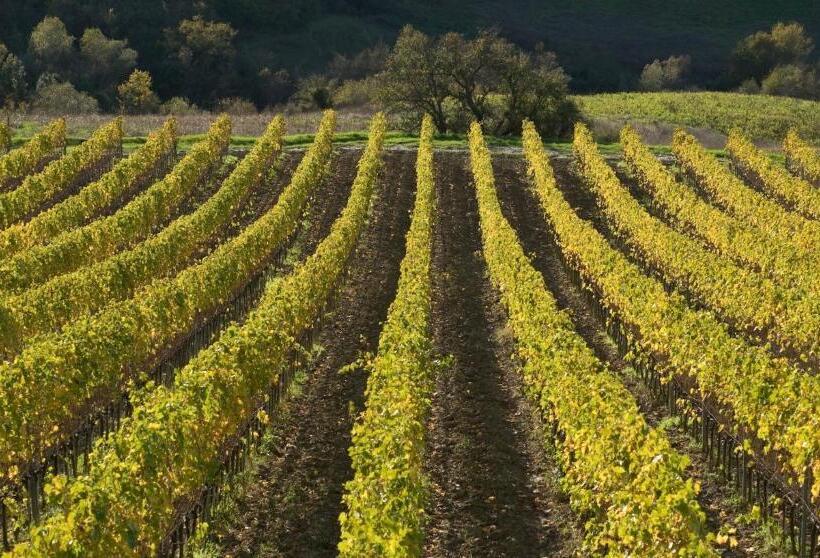 住宿加早餐  Villa Pieve De  Pitti