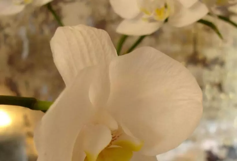 Aamiaismajoitus (B&B) Villa Pieve De  Pitti