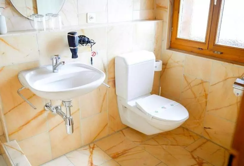 Hotelli Postigliun Sedrun 24 7 Self Checkin