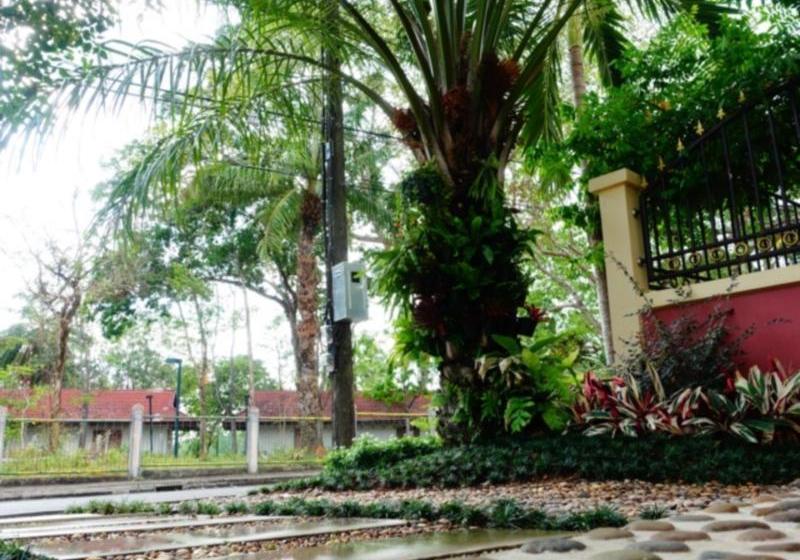 בית מלון כפרי P.p. Palm Mansion