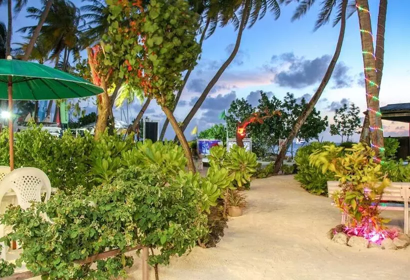 پانسیون Salt Beach