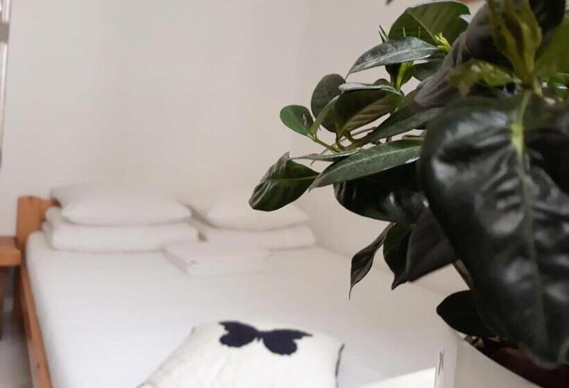 تختخواب و صبحانه Amber Private Rooms