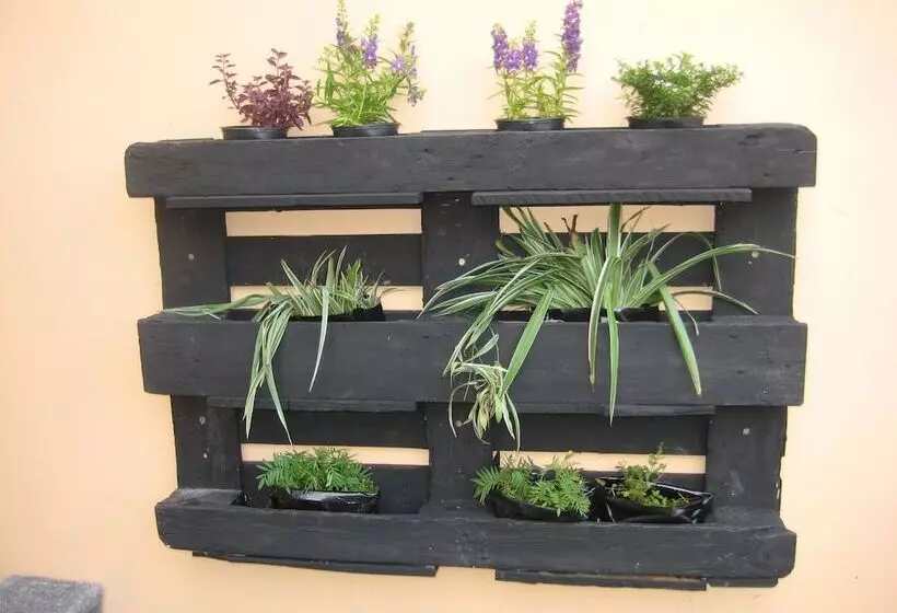 تختخواب و صبحانه Sm Lodge Mauritius