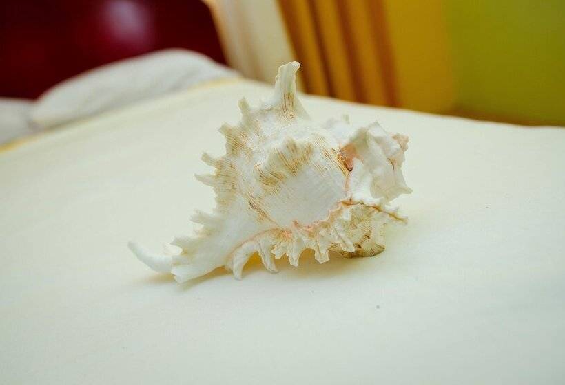 تختخواب و صبحانه Sm Lodge Mauritius