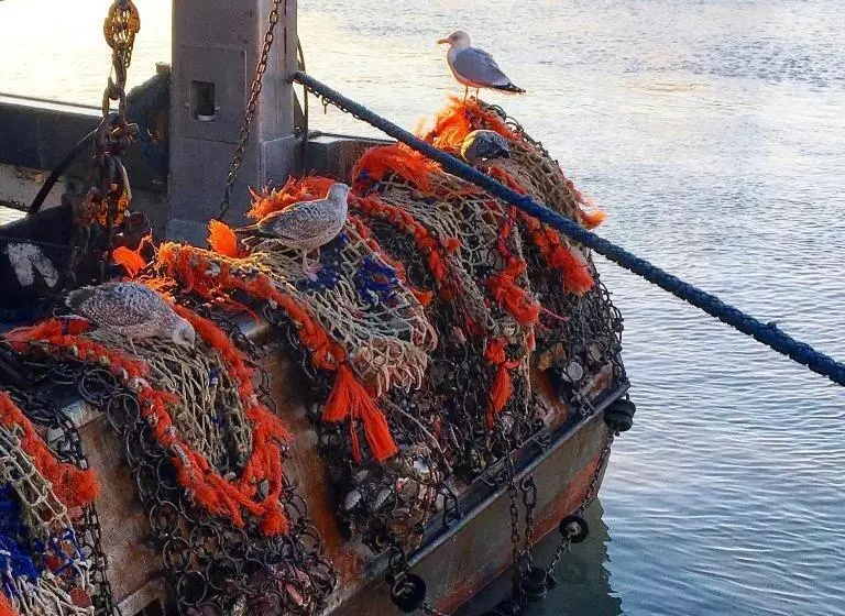Le Trouville   Hotel De Charme