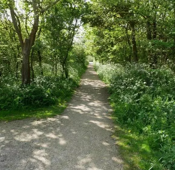 Hotelli Huize De Duinen