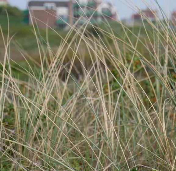 Hotelli Huize De Duinen