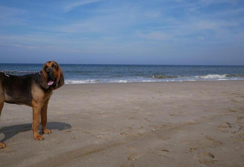 ホテル Huize De Duinen