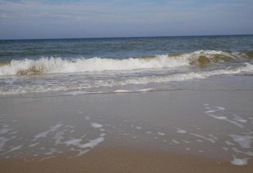 ホテル Huize De Duinen