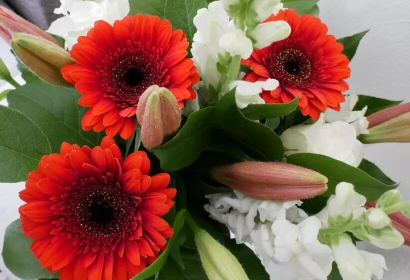 Hotelli Huize De Duinen