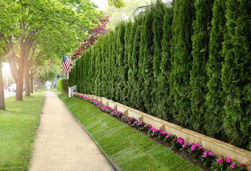 צימר Maison Vivienne Southampton