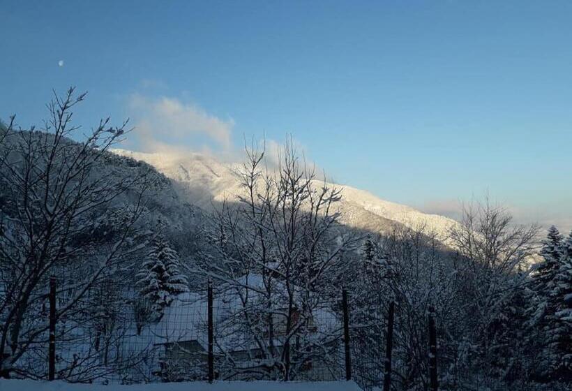 Szálloda Albergo Capriolo