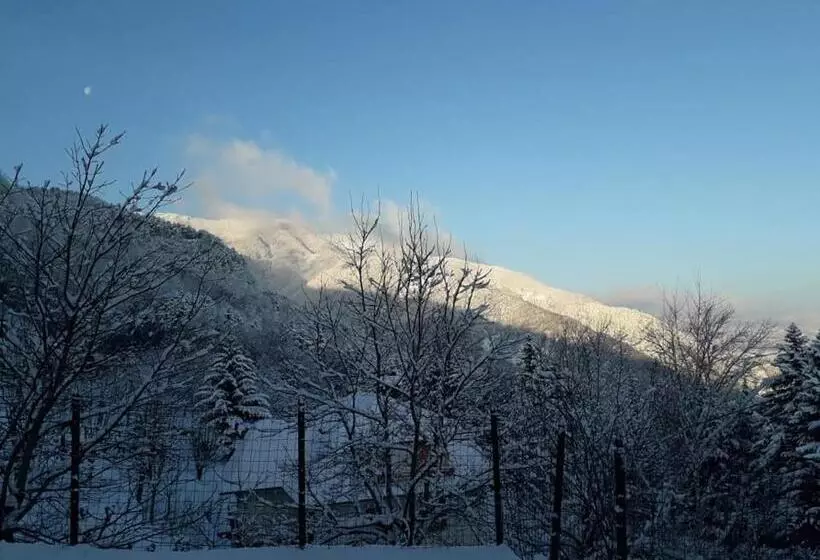 Hotel Albergo Capriolo