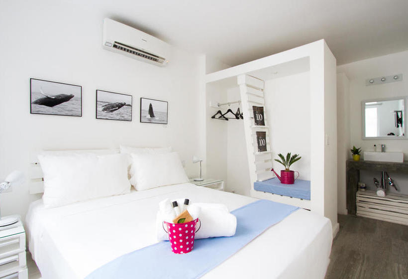 Отель Gatto Blanco Party